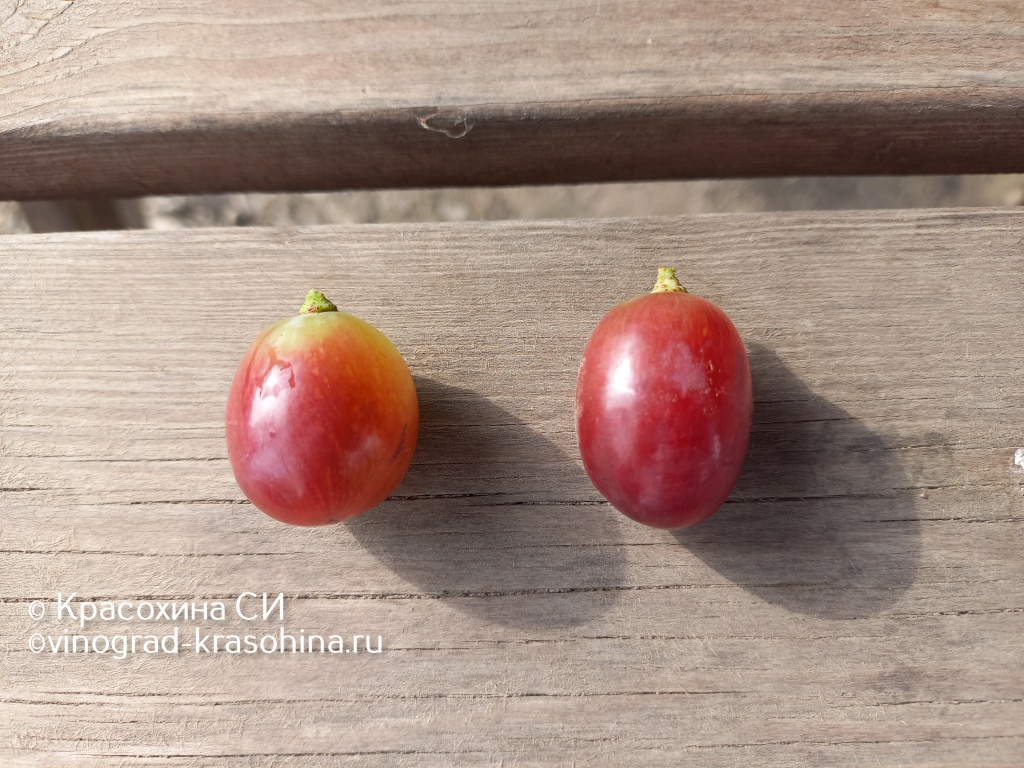 Щелкунчик ягоды (5).jpg