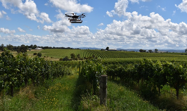 NSW - drone.jpg